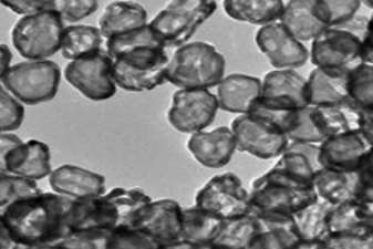 金纳米笼 金纳米笼