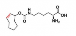 N-(2E)-TCO-L-lysine 
