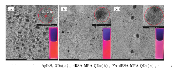 叶酸修饰AgInS量子点 叶酸修饰AgInS量子点