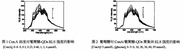 葡聚糖修饰CdSe量子点