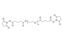 PEG-2SG 聚乙二醇-双(琥珀酰亚胺戊二酸酯)