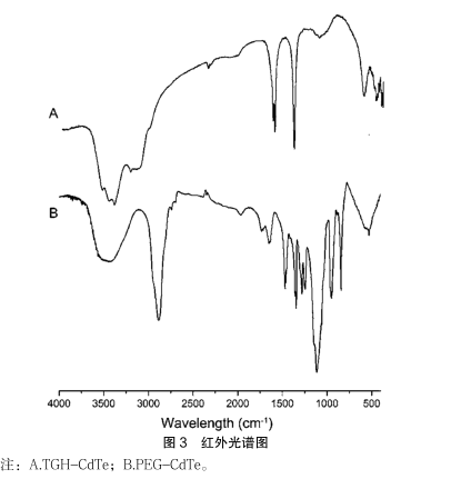 :PEG修饰CdTe量子点 :PEG修饰CdTe量子点