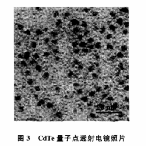 MSA/CdTeQDs MSA/CdTeQDs