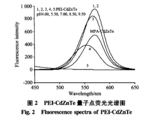 PEI修饰CdZnTe量子点 PEI修饰CdZnTe量子点