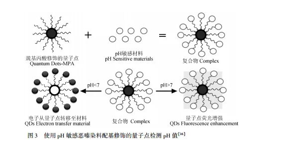 巯基丙酸修饰CdTe碲化镉量子点 巯基丙酸修饰CdTe碲化镉量子点