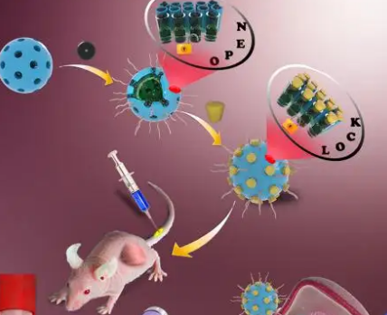 碳酸钙-聚多巴胺纳米粒包载低氧激活前药替拉扎明，TPZ@CaC03-PDA