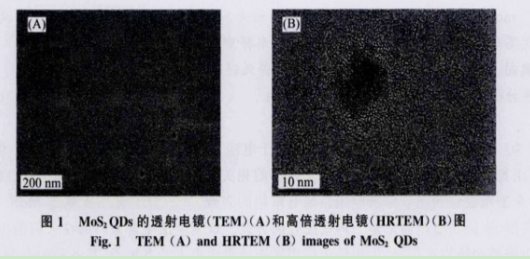 L-半胱氨酸功能化MoS2荧光量子点 L-半胱氨酸功能化MoS2荧光量子点