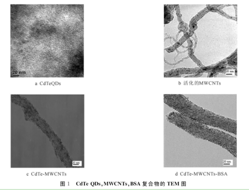 CdTeMWCNTsBSA复合物 CdTeMWCNTsBSA复合物