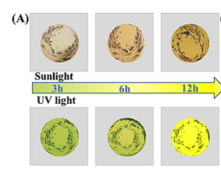 TP-COF与COF-TpMA具有光导性的COFs材料 TP-COF与COF-TpMA具有光导性的COFs材料