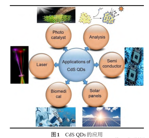 硫化镉量子点修饰AIE荧光探针分子 硫化镉量子点修饰AIE荧光探针分子