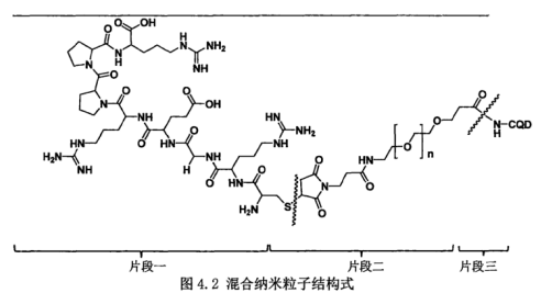 Mal-PEG-NHS偶联碳量子点CQDs Mal-PEG-NHS偶联碳量子点CQDs