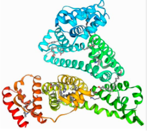 DLPE-PEG-BSA	二月桂?；字Ｒ掖及?聚乙二醇-牛血清白蛋白
