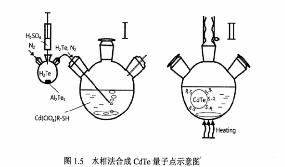 蛋白质核糖核酸酶修饰碲化锌ZnTe量子点 蛋白质核糖核酸酶修饰碲化锌ZnTe量子点