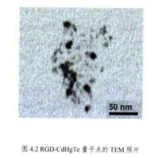 PEG修饰RGD-CdHgTe量子点 PEG修饰RGD-CdHgTe量子点
