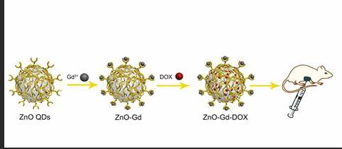 Gd@ZnO量子点表面修饰阿霉素 Gd@ZnO量子点表面修饰阿霉素