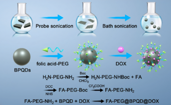 万古霉素修饰黑磷量子点 万古霉素修饰黑磷量子点