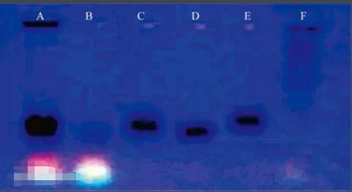 葡萄糖-碳量子点-顺铂复合物 葡萄糖-碳量子点-顺铂复合物