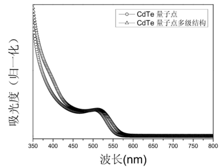 CLV3十二肽修饰CdTe量子点 CLV3十二肽修饰CdTe量子点