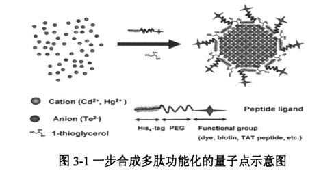 cRGD多肽偶联ZCIS/ZnS量子点 cRGD多肽偶联ZCIS/ZnS量子点