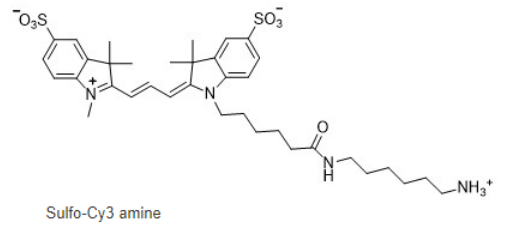 Sulfo-Cyanine3 Sulfo-Cyanine3