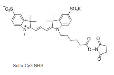 sulfo-Cy3-NHS ester sulfo-Cy3-NHS ester