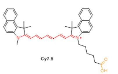 海藻酸钠-菁染料CY7.5 海藻酸钠-菁染料CY7.5