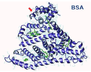海藻酸钠-牛血清白蛋白 海藻酸钠-牛血清白蛋白