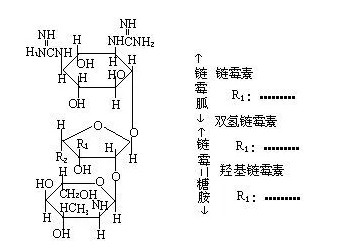 海藻酸钠-链霉亲和素 海藻酸钠-链霉亲和素