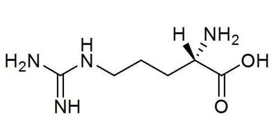 海藻酸钠-聚乙二醇-聚精氨酸 海藻酸钠-聚乙二醇-聚精氨酸