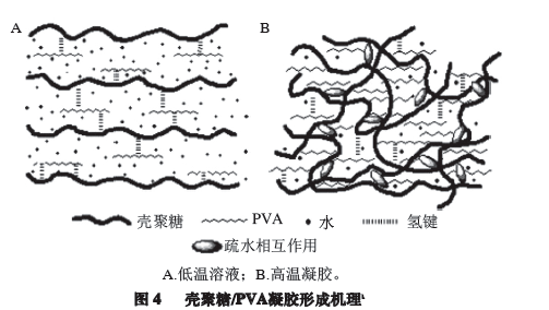 壳聚糖-羧基 壳聚糖-羧基
