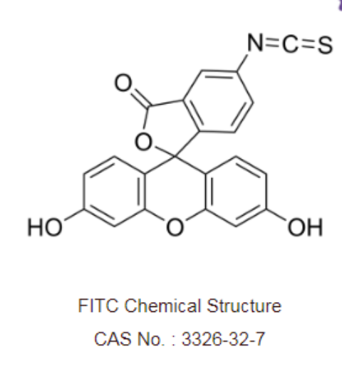 壳聚糖-异硫氰基荧光素 壳聚糖-异硫氰基荧光素