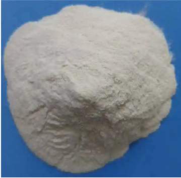 壳聚糖-麦胚凝集素 壳聚糖-麦胚凝集素