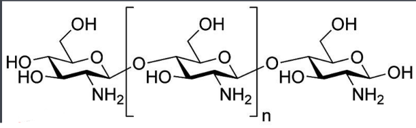 壳聚糖-卵清蛋白 壳聚糖-卵清蛋白