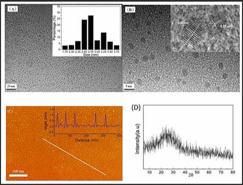 石墨烯量子点(GQDs)修饰TiO2纳米线 石墨烯量子点(GQDs)修饰TiO2纳米线