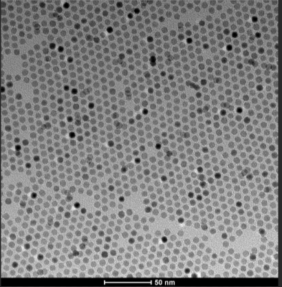 近红外PbS量子点(QDs)修饰ZnO纳米片复合膜 近红外PbS量子点(QDs)修饰ZnO纳米片复合膜