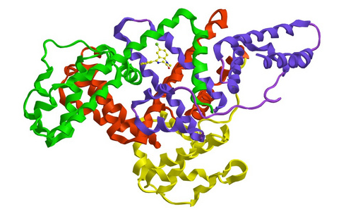 甘露糖-聚乙二醇-人血清白蛋白 甘露糖-聚乙二醇-人血清白蛋白