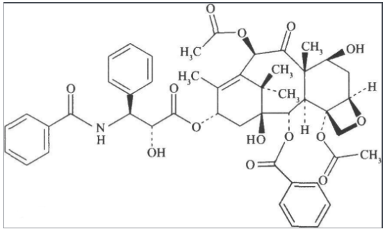 甘露糖-紫杉醇 甘露糖-紫杉醇