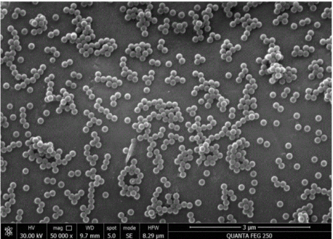 羧基修饰青色乳胶微球 羧基修饰青色乳胶微球
