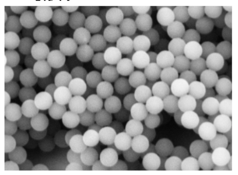 非单分散巯基ps微球 非单分散巯基ps微球