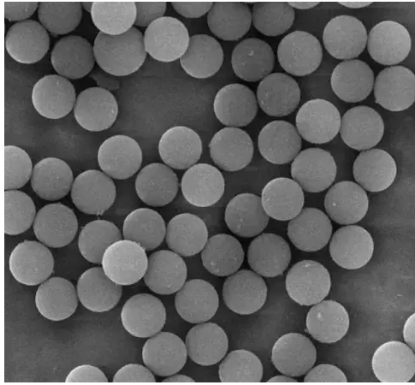 磺酸基修饰聚苯乙烯微球 磺酸基修饰聚苯乙烯微球