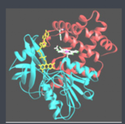 葡萄糖-聚乙二醇-过氧化氢酶 葡萄糖-聚乙二醇-过氧化氢酶