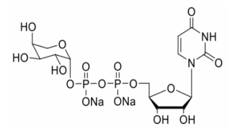 UDP-b-L-arabinose UDP-b-L-arabinose
