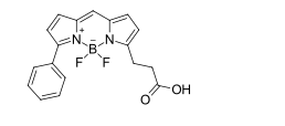 BDP R6G carboxylic acid ,cas 174881-57-3