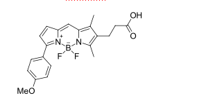 BDP TMR carboxylic acid
