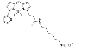 BDP 558/568 amine 氨基修饰的硼二吡咯烯染料