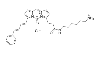 BDP 581/591 amine 氨基修饰的BDP染料