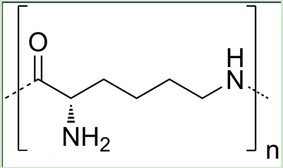 PLL-PEG-maltose PLL-PEG-maltose