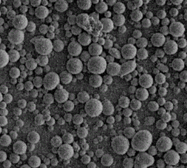 Protein A 蛋白A修饰磁性微球 Protein A 蛋白A修饰磁性微球