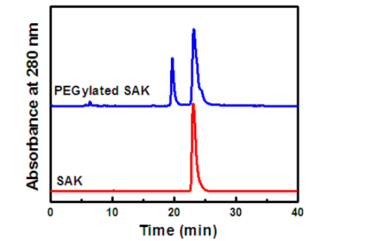 PEG醛修饰药用蛋白 PEG醛修饰药用蛋白