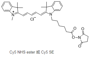 CY5-NHS ester 花菁染料CY5标记N-羟基琥珀酰亚胺
